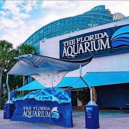 فيلا Minutes To Fairgrounds, Hard Rock, & Busch Gardens تامبا المظهر الخارجي الصورة